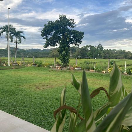 The Eliana Farm Resort And Villas Manolo Fortich Екстер'єр фото